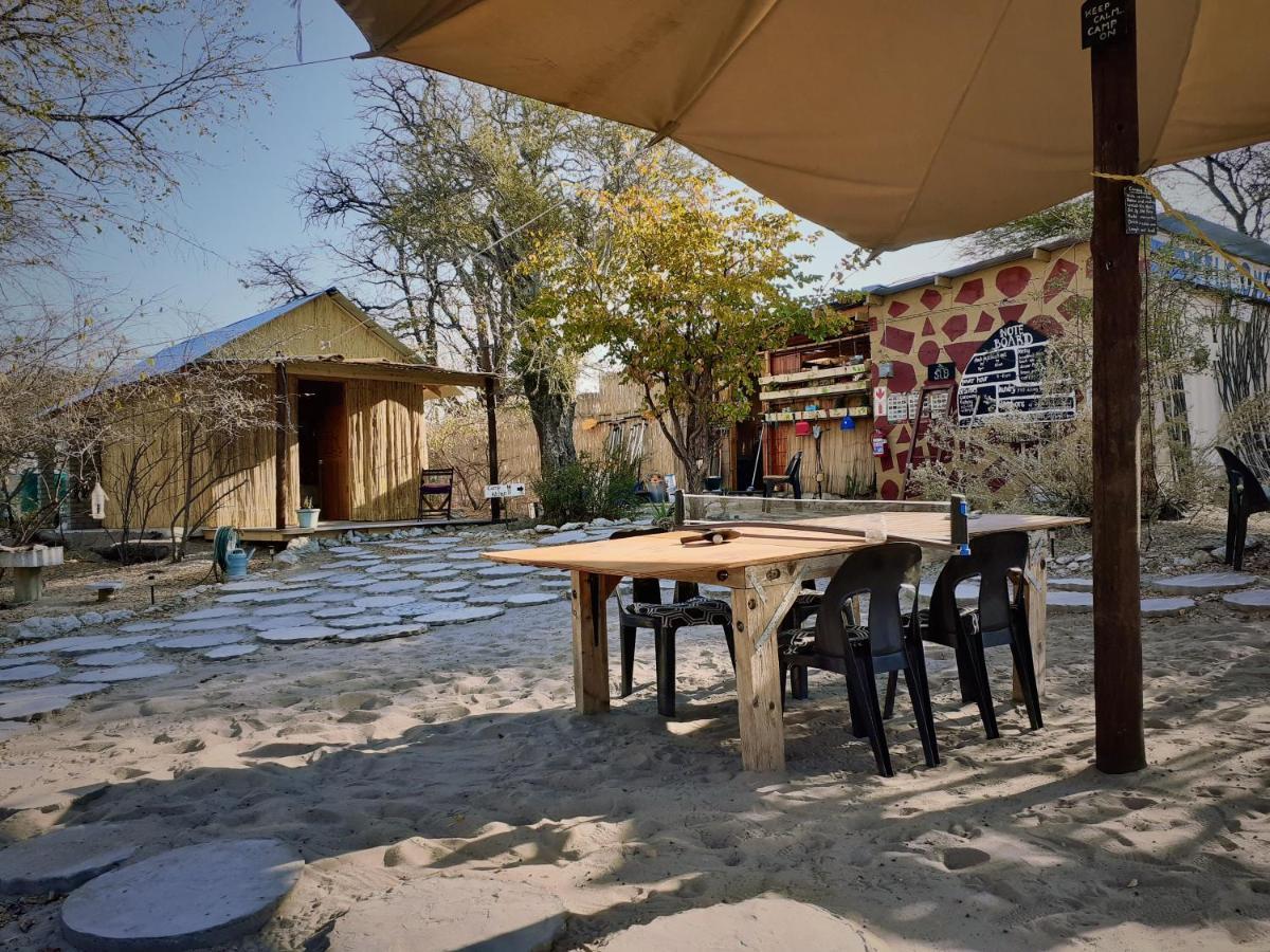 הוסטל Nata Eselbe Camp Backpackers מראה חיצוני תמונה