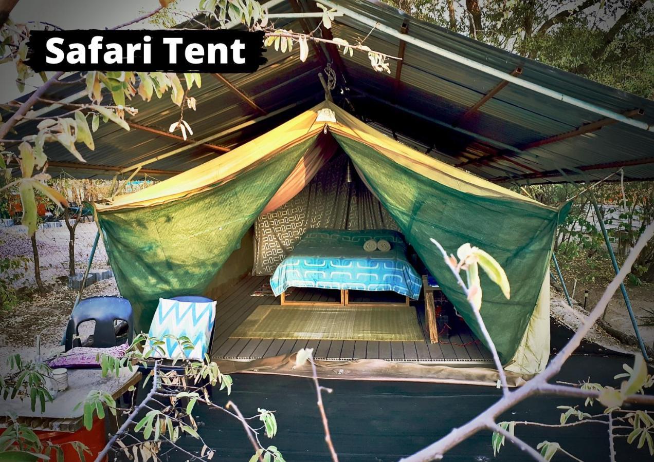 הוסטל Nata Eselbe Camp Backpackers מראה חיצוני תמונה