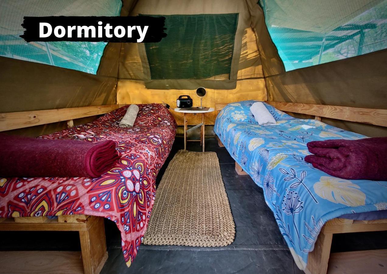 הוסטל Nata Eselbe Camp Backpackers מראה חיצוני תמונה