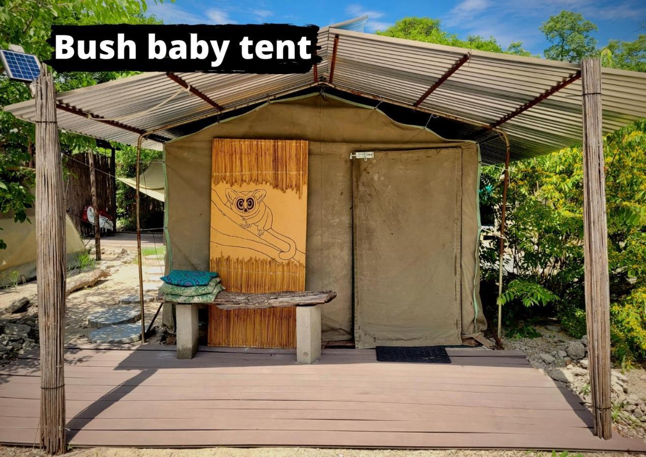 הוסטל Nata Eselbe Camp Backpackers מראה חיצוני תמונה